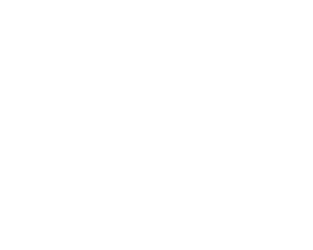 Premier Martial Arts Logo