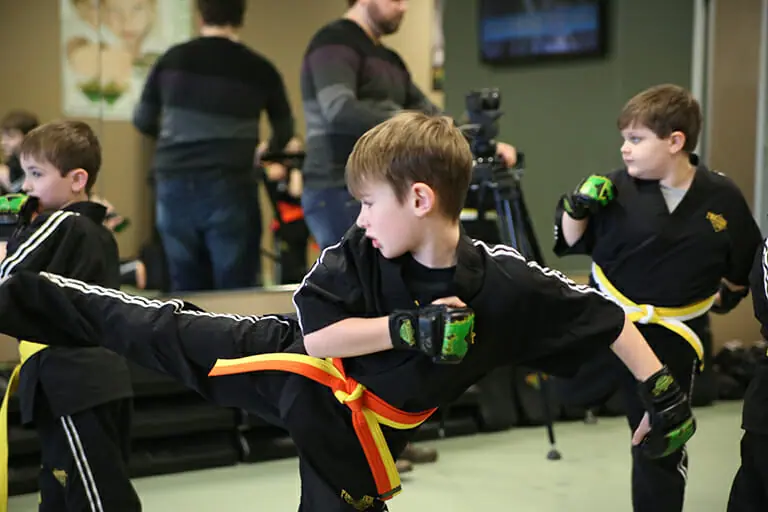 Martial Arts class for all abilities at Premier Martial arts