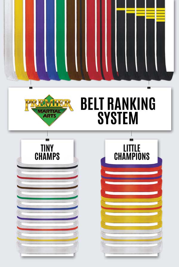 PMA Belt Ranking Poster